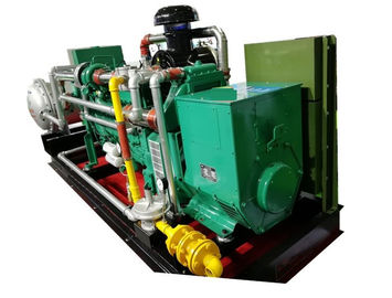 Καλή τιμή. CHP βιοαερίων 300KVA 250KW 60Hz, συστήματα συμπαραγωγής CHP μακρινού ελέγχου σε απευθείας σύνδεση