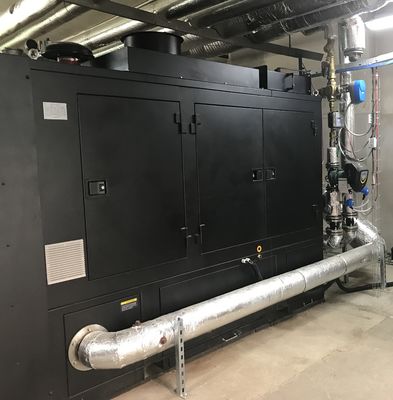 Καλή τιμή. Πιστοποίηση 200KW 250KVA 50Hz CE συνόλου γεννητριών CHP φυσικού αερίου σε απευθείας σύνδεση